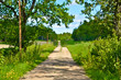 Sandweg in Schweden
