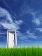 High resolution 3D white door opened in grass High resolution 3D white door opened in grass