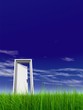 High resolution 3D white door opened in grass High resolution 3D white door opened in grass
