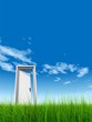 High resolution 3D white door opened in grass High resolution 3D white door opened in grass