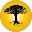 tree of a twisting root sphere. vector