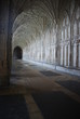 The Cloister in Gloucester Cathedral