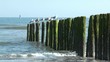 bord de plage bord de plage