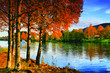 Norway beauty Norway beauty