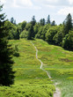 Sentier sur les chaumes des Vosges