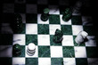 assorted chess pieces arranged on the board