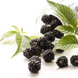 dewberries (blackberries) and green leaves