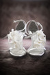 Bridal Shoes