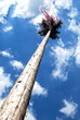 Maibaum4