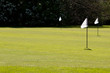 Foto: Fahnen auf Golfplatz Fahnen auf Golfplatz