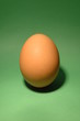 Egg on green background