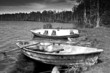 Abandoned Boats