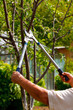 Gardening