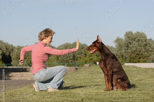 Photo: Working with dog Working with dog
