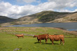 Views around Cwmystradllyn