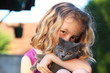 chaton chartreux dans les bras d'un enfant chaton chartreux dans les bras d'un enfant