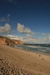 Beach with seals