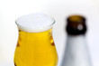 Glas Bier
