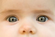 bébé