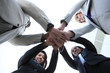 Diverse Business Team Celebrating Diverse Business Team Celebrating