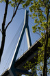 Köhlbrandbrücke
