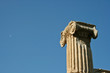 Column Detail
