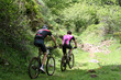 VTT en Auvergne