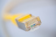 Netzwerkkabel