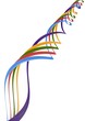 Colorful Ribbons