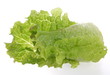 Grüne Salat.