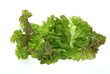 Salat auf weiss.