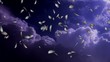 Video motion background