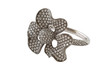 The Golden Ring
