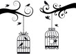 bircage and birds, vector