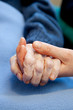 Elderly Care Elderly Care
