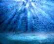 Underwater scene