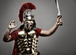 Legionary soldier ready for a war
