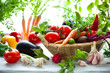 assorted vegetables assorted vegetables