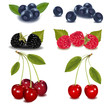 Photo-realistic vector illustration. Group of berries. Photo-realistic vector illustration. Group of berries.