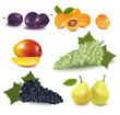 Super big group of fruit. Photo-realistic vector illustration.