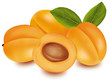Photo-realistic vector illustration of the ripe apricots fruit.