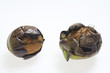 detail of craks raw wallnut detail of craks raw wallnut