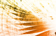 Telecommunications Industry Global Network