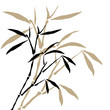Bamboo branches Bamboo branches
