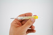 Thermometer 13