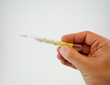 Thermometer 11