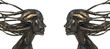 Metal Robotic heads in profile