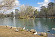 Lago de Anna