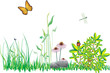 Wiese fruehlings Insekten