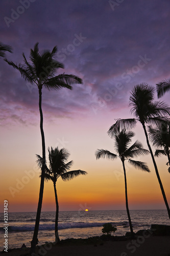 Photo: Hawaiian Sunset Hawaiian Sunset